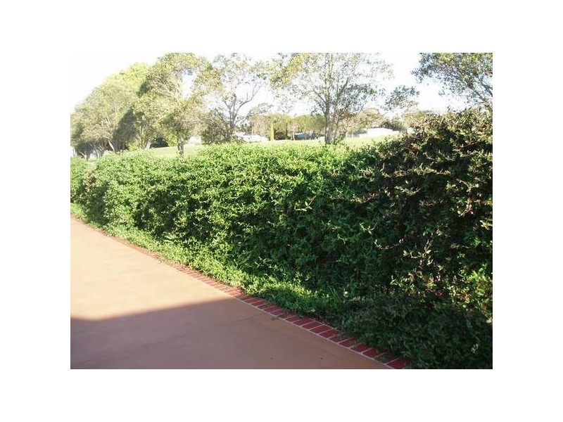 South Toowoomba QLD 4350