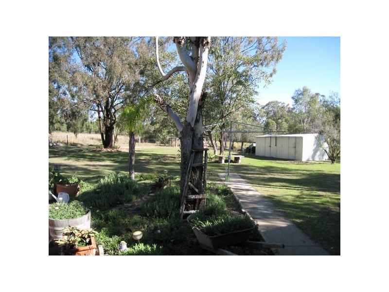 Postmans Ridge QLD 4352