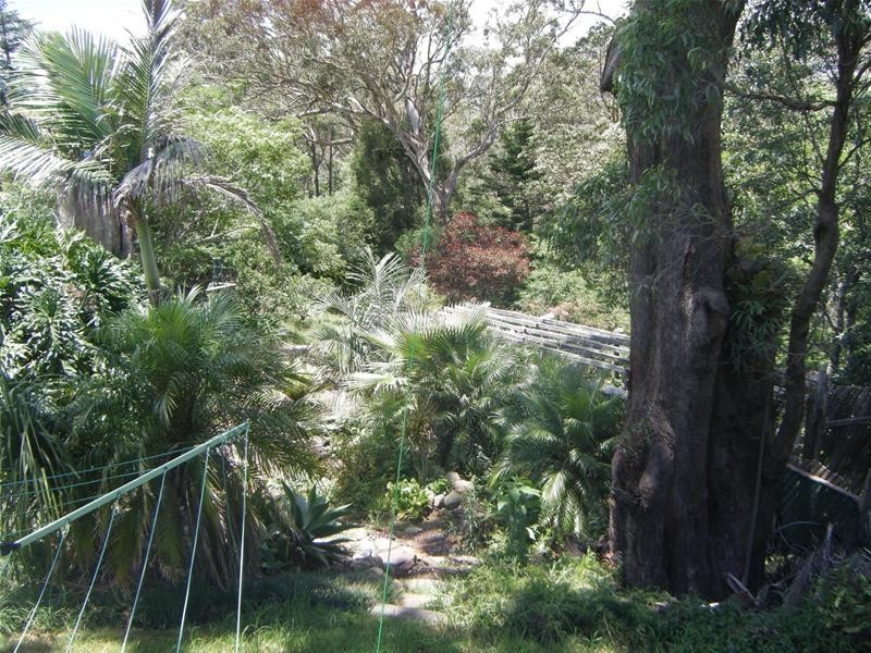 Blue Mountain Heights QLD 4350