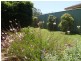 Wilsonton QLD 4350