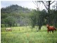 Glenvale QLD 4350