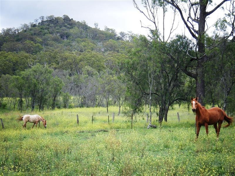 Glenvale QLD 4350