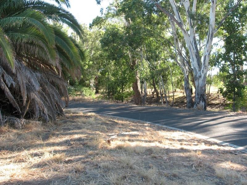 Tocumwal NSW 2714
