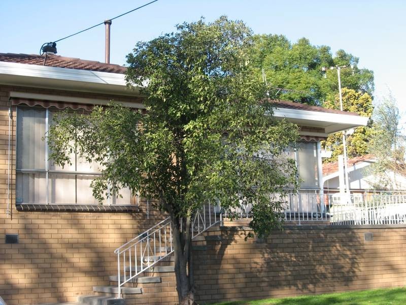 18 Wilkur Street, Cobram VIC 3644