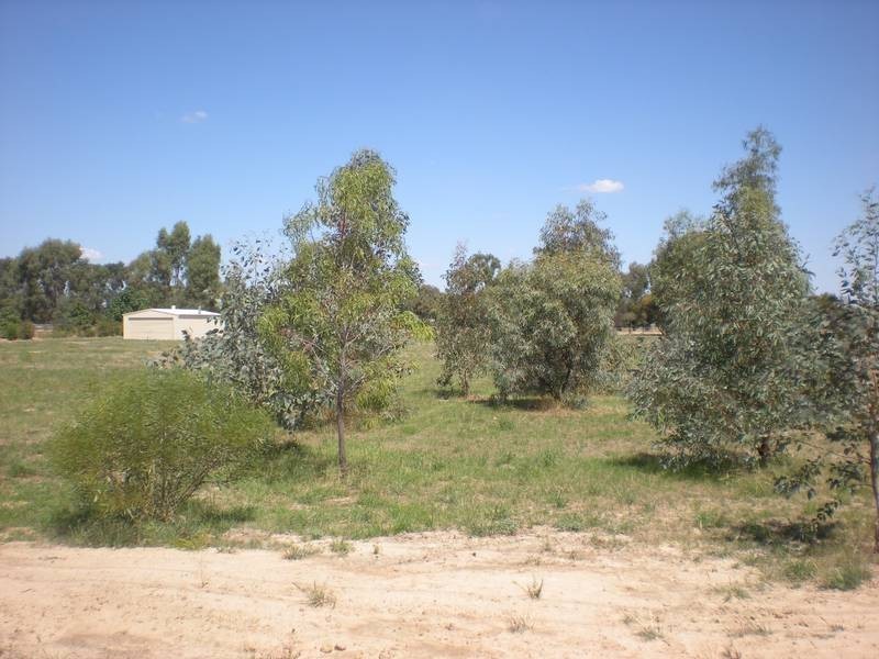 Tocumwal NSW 2714