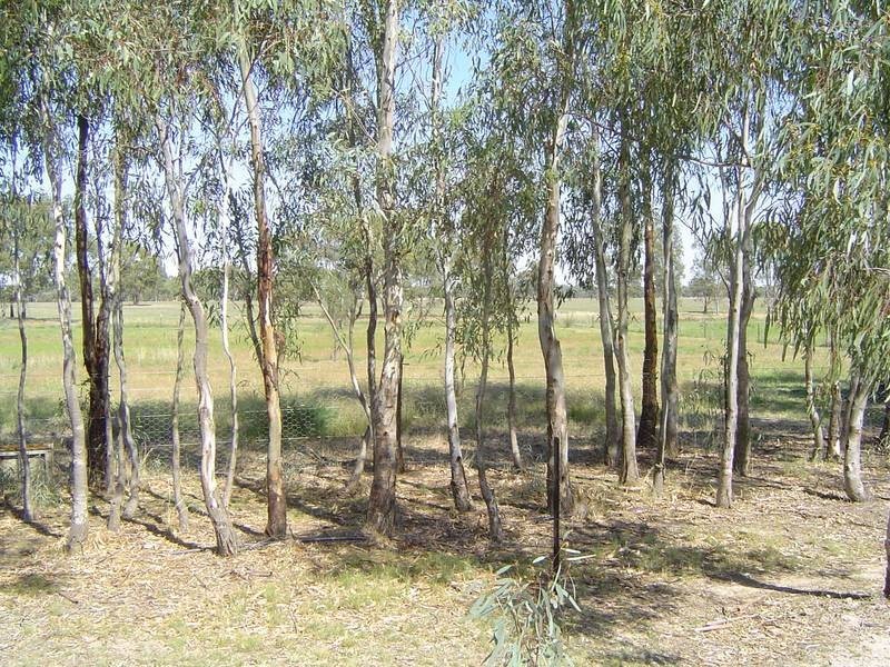 Tocumwal NSW 2714