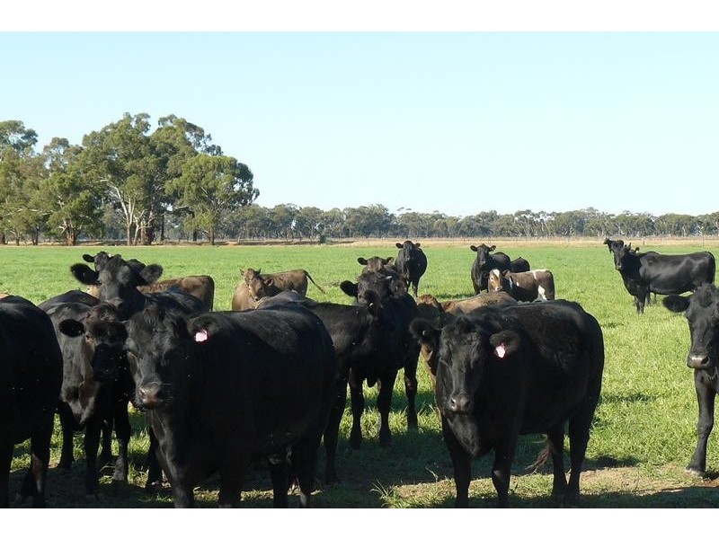 Strathmerton VIC 3641