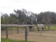 Koonoomoo VIC 3644