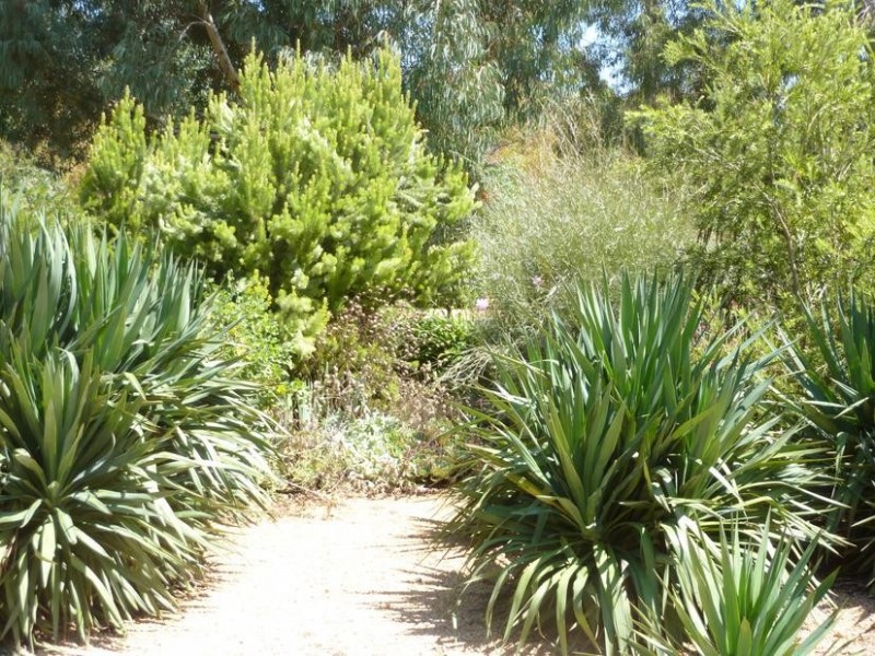 Cobram East VIC 3644