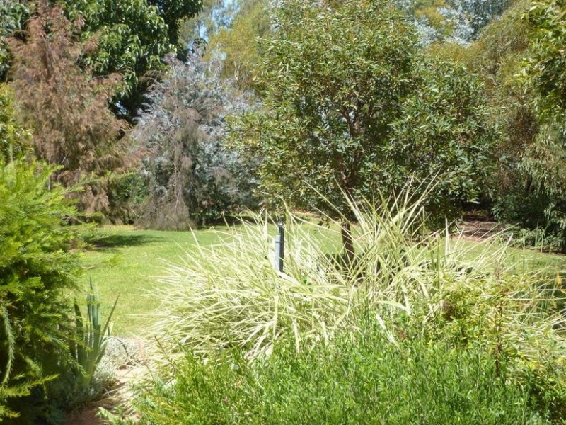 Cobram East VIC 3644