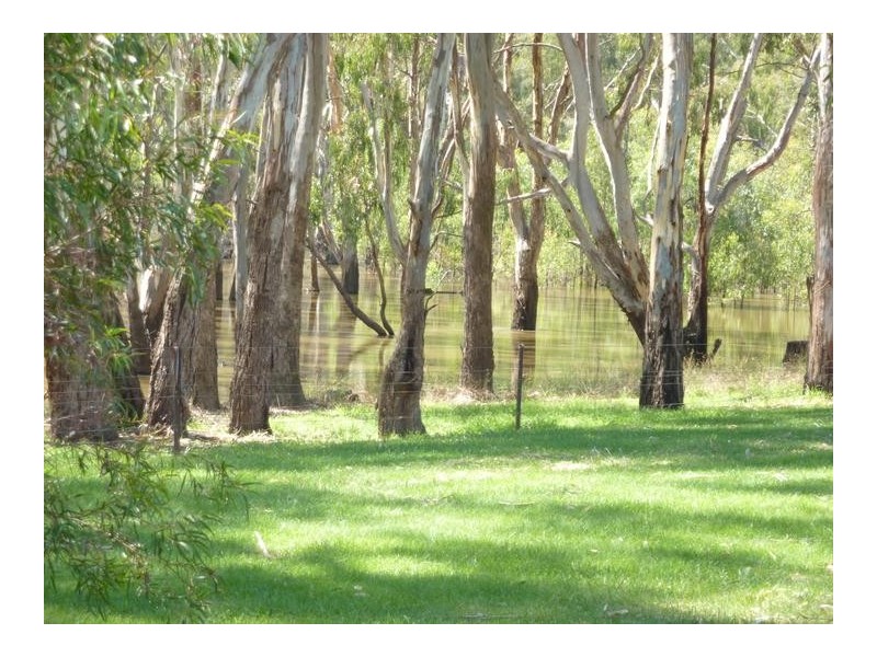 Cobram East VIC 3644