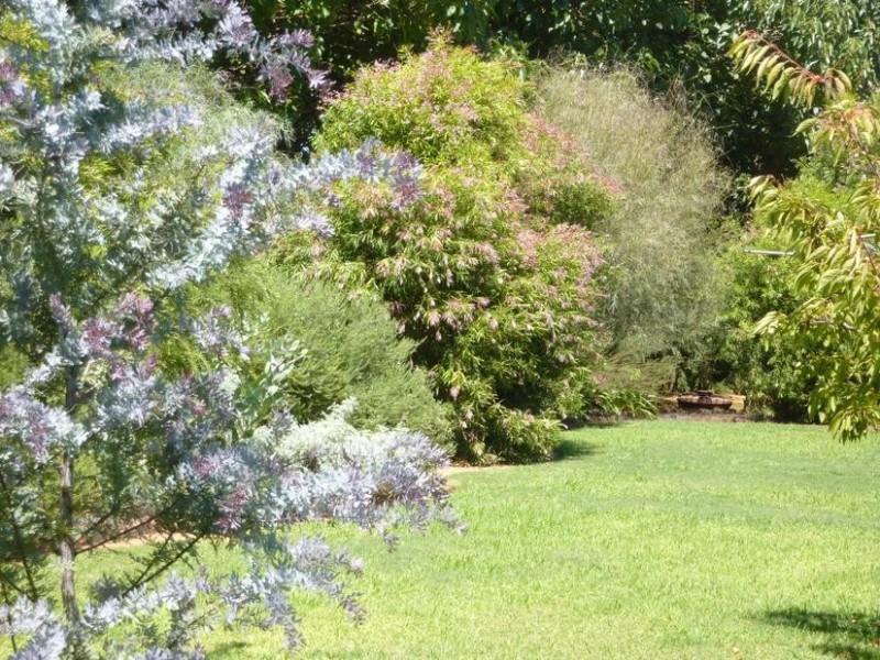 Cobram East VIC 3644