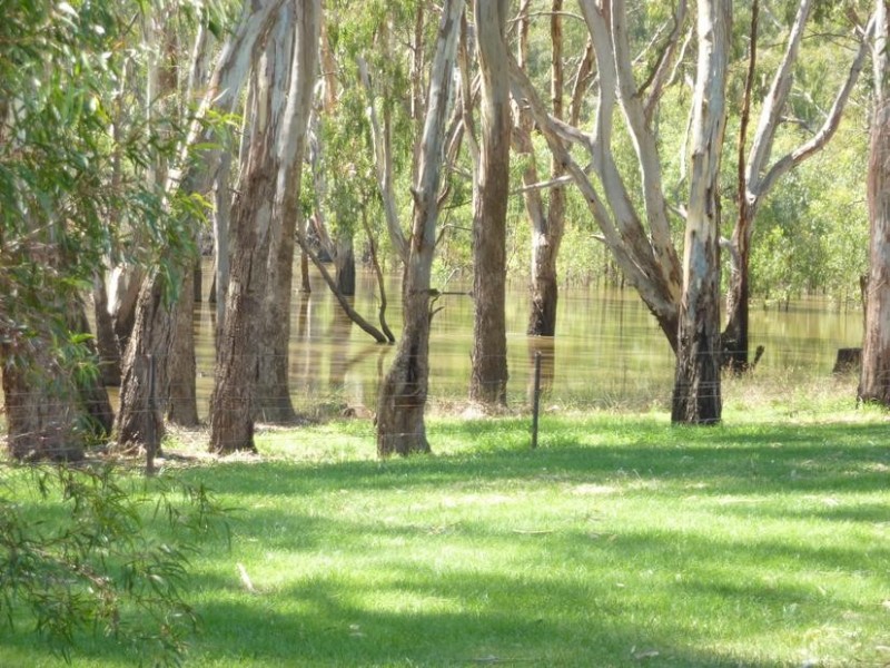 Cobram East VIC 3644