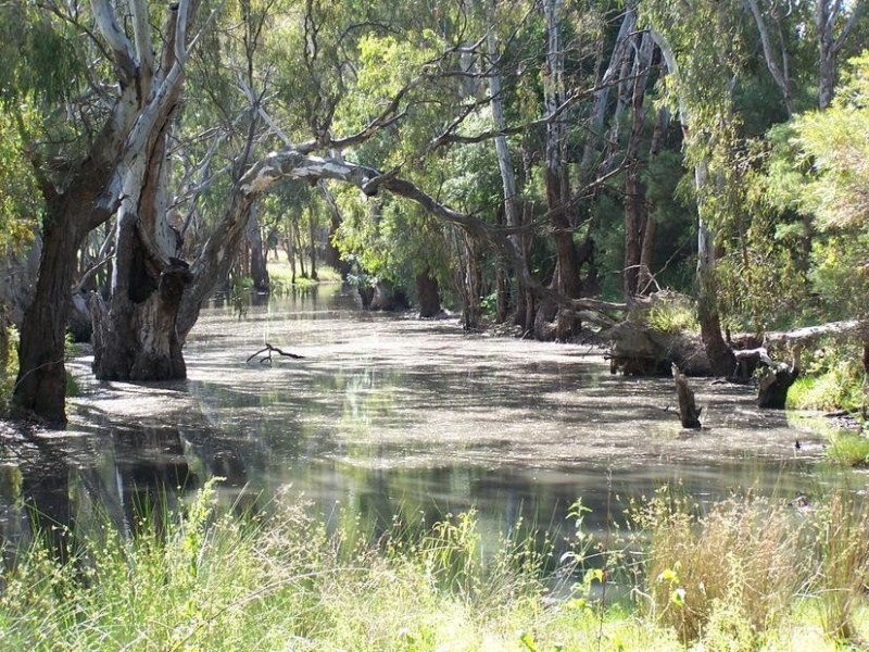 Tocumwal NSW 2714