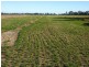 Cobram VIC 3644