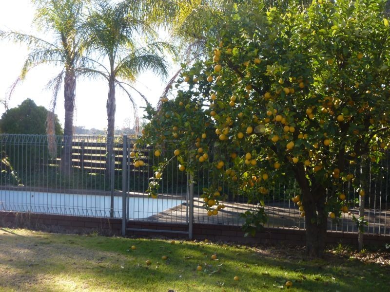 Cobram VIC 3644