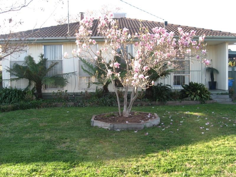 Cobram VIC 3644
