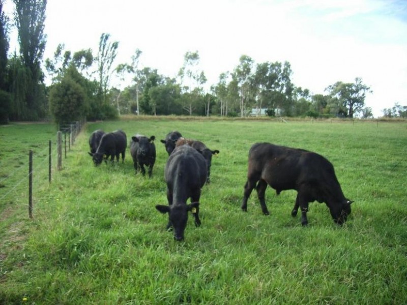 Cobram VIC 3644