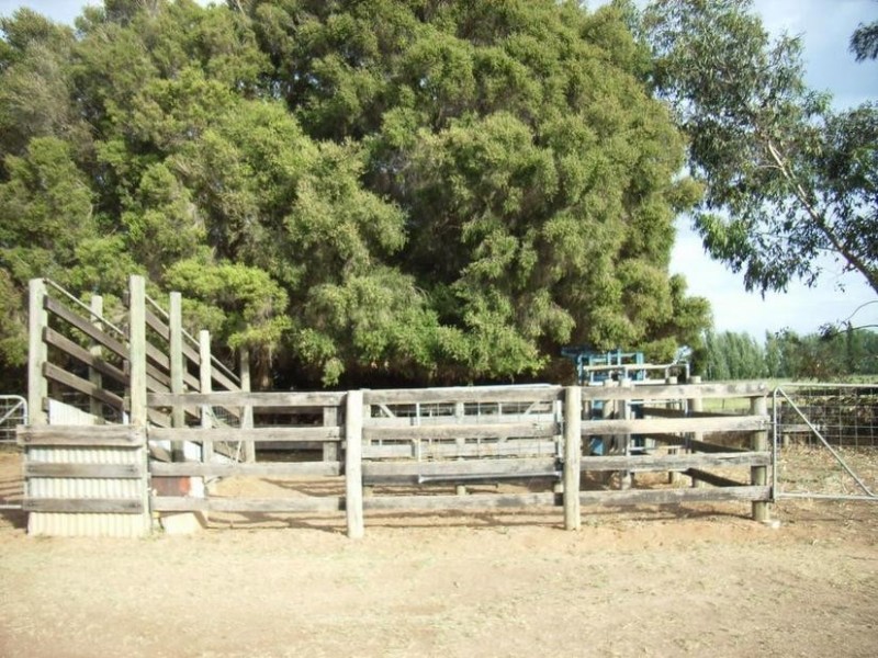 Cobram VIC 3644