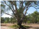 Tocumwal NSW 2714