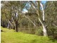 Barooga NSW 3644