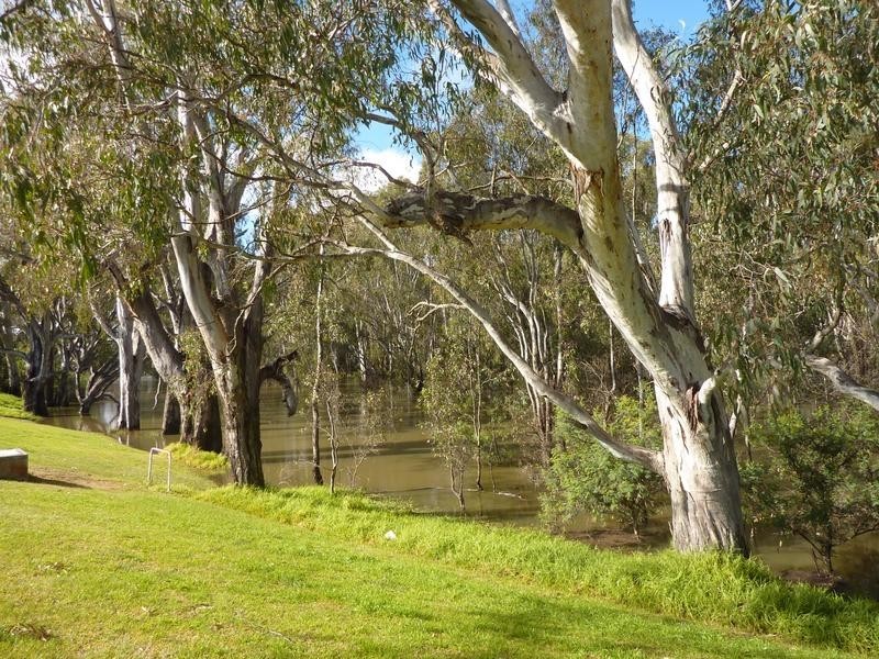 Barooga NSW 3644