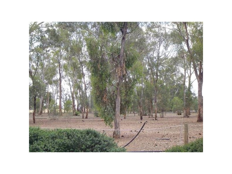 Berrigan NSW 2712