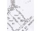 Tocumwal NSW 2714