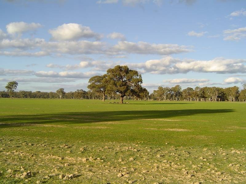 Strathmerton VIC 3641