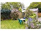4/49-51 Spencer Road, Mosman NSW 2088