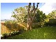 31 Alfred Road, Narraweena NSW 2099