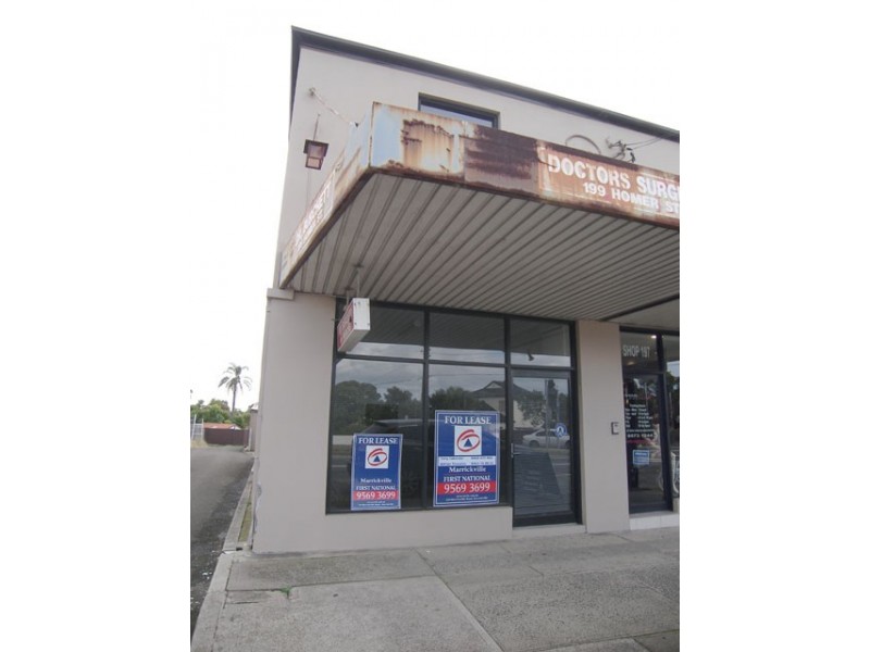 199 Homer Street, Earlwood NSW 2206