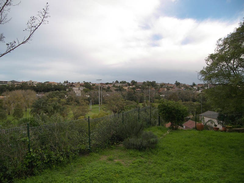 12 Hilltop Avenue, Marrickville NSW 2204