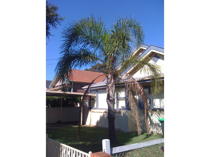 7 Clisdell Avenue, Canterbury NSW 2193