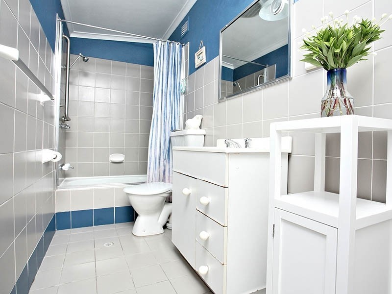 17 Fernbank Street, Marrickville NSW 2204