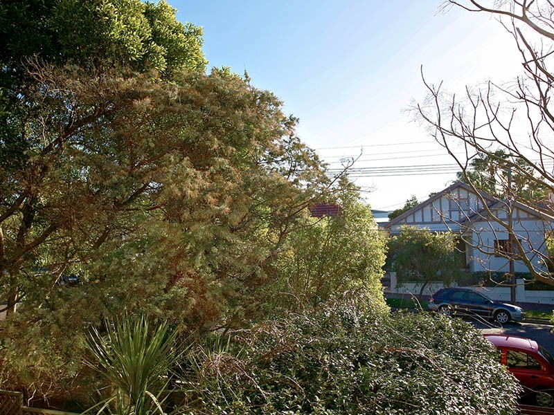 14/364 Livingstone Road, Marrickville NSW 2204