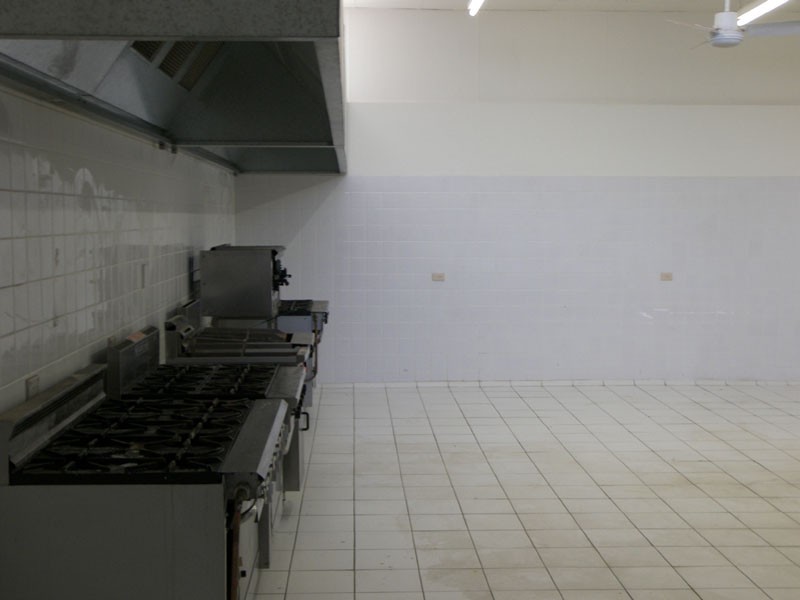 9 Hutchinson Street, St Peters NSW 2044