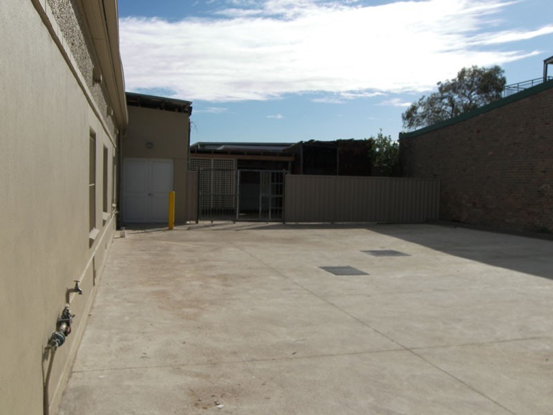 9 Hutchinson Street, St Peters NSW 2044