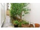 150 Addison Rd, Marrickville NSW 2204