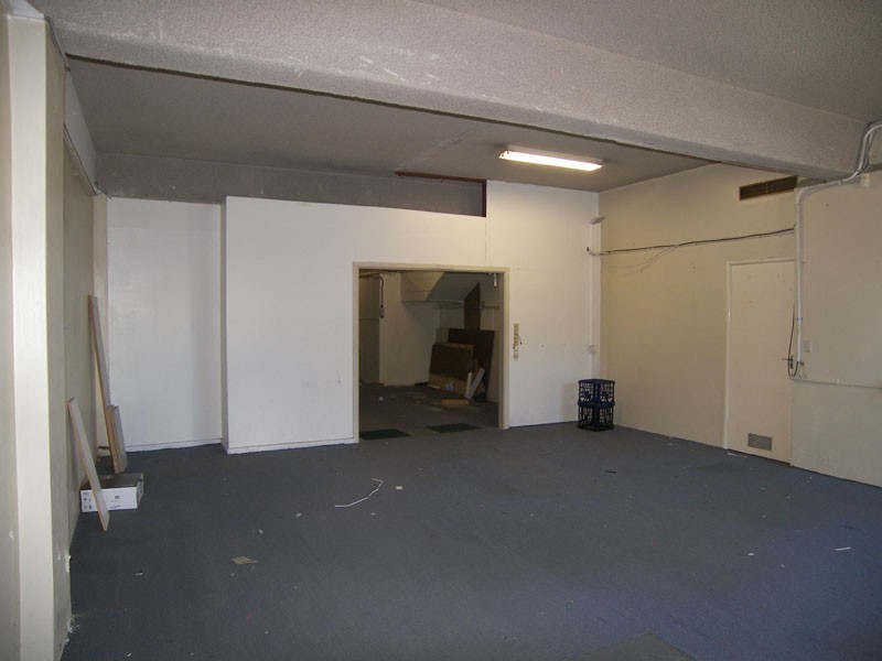 81 Sydenham Road, Marrickville NSW 2204