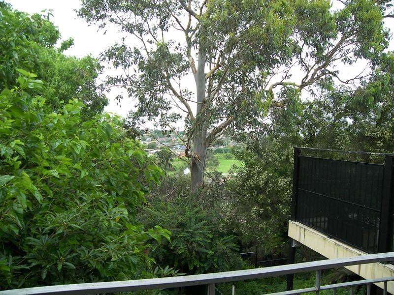 2/13 David Street, Earlwood NSW 2206