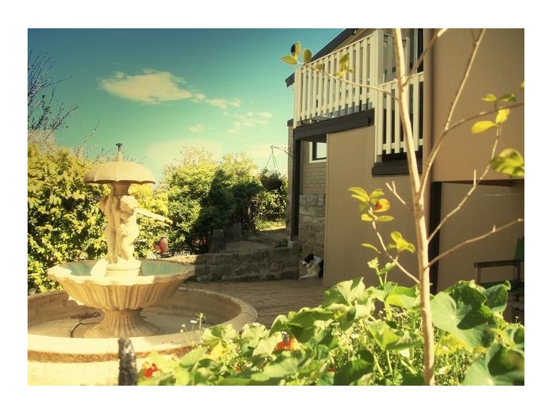 47 Highcliff Rd, Earlwood NSW 2206