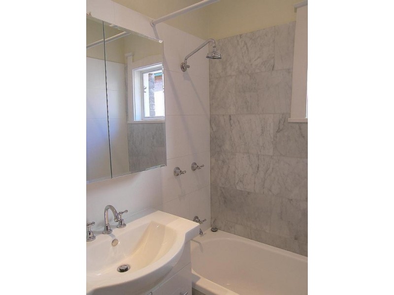 113 Woolcott Street, Earlwood NSW 2206