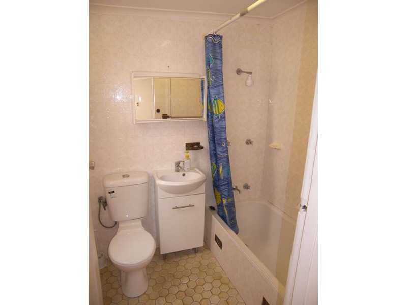 52 Park Avenue, Ashfield NSW 2131