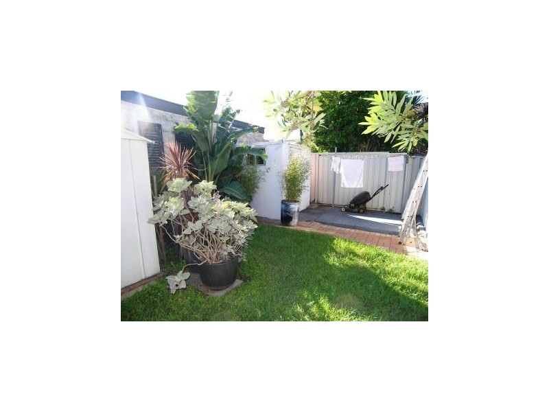 19 Roseby Street, Marrickville NSW 2204