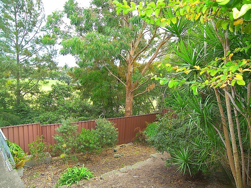 18 Thornley Street, Marrickville NSW 2204