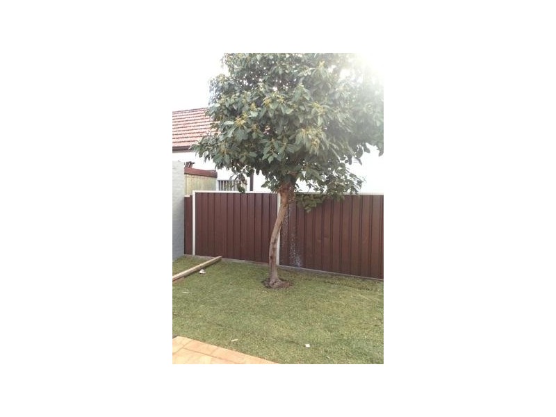 1/410 Illawarra Road, Marrickville NSW 2204