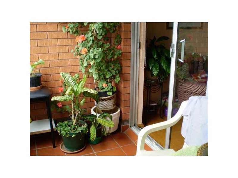 2/360 Livingstone Road, Marrickville NSW 2204