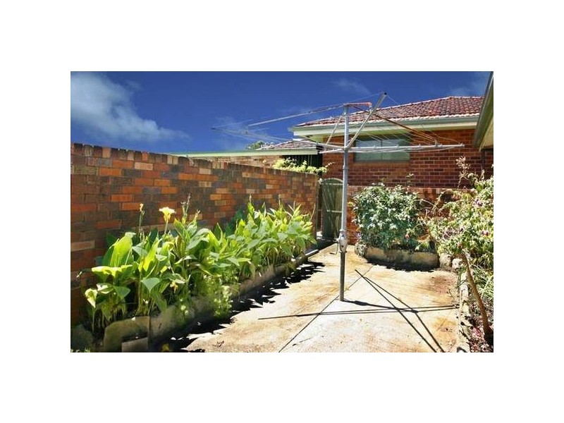 31 Wardell Road, Earlwood NSW 2206