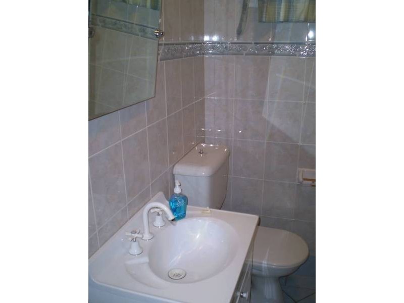 29 Mimosa Street, Bexley NSW 2207